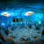 Wedding Planner Tampa
