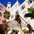 Wedding Planner Tampa