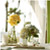 Wedding Planner Tampa