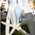 Wedding Planner Tampa